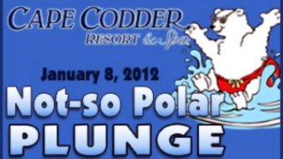 Not-So Polar Plunge at the Cape Codder Resort & Spa's Heated Outdoor Pool