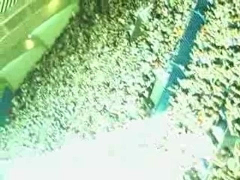 Psg nante tribune atks