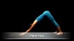 Plank Pose | Phalakasana | Yoga for Beginners