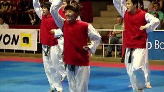 Korean Taekwondo Demo Team