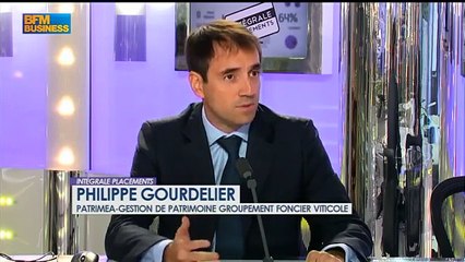 SCPI dans l'assurance vie - Patrimea sur BFM