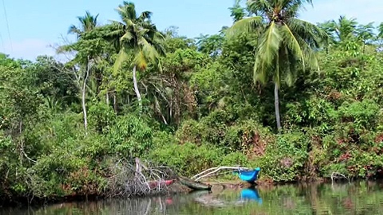 Koggala River Safari