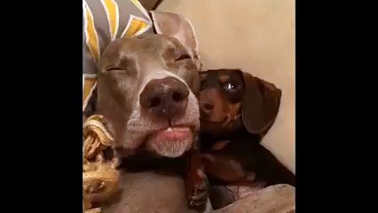 Oh my god that tenderness