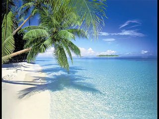 Trafassi - kom uit die bananenboom