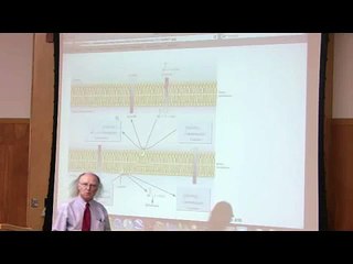 Lipid Metabolism by Kevin Ahern, Part 1 of 8