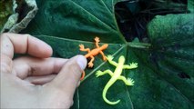 lizard toys walking around jouets lezards pour enfants animaux