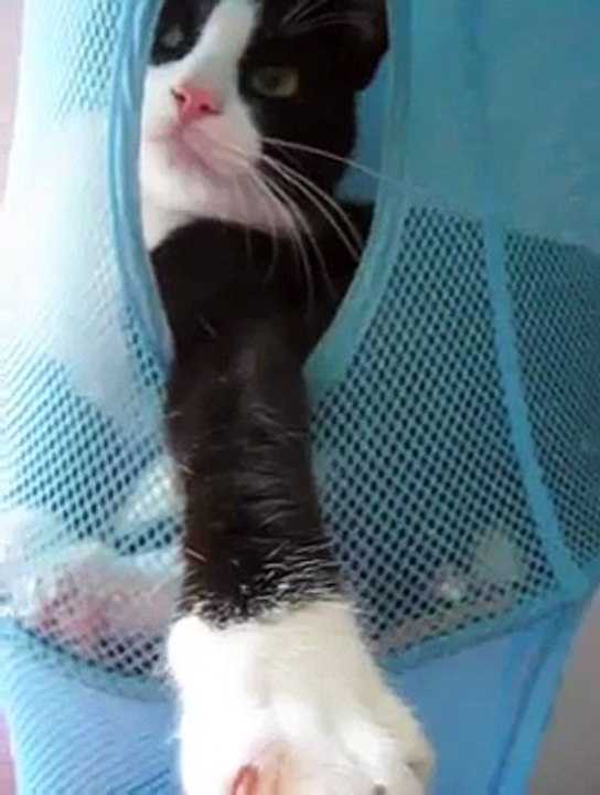 elias in his haunt music:Contagious Hallucinations