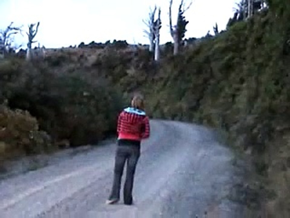 Possum and rabbit hunting