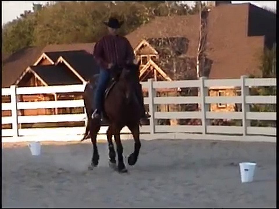 Roping Horse Takes On Cowboy Dressage