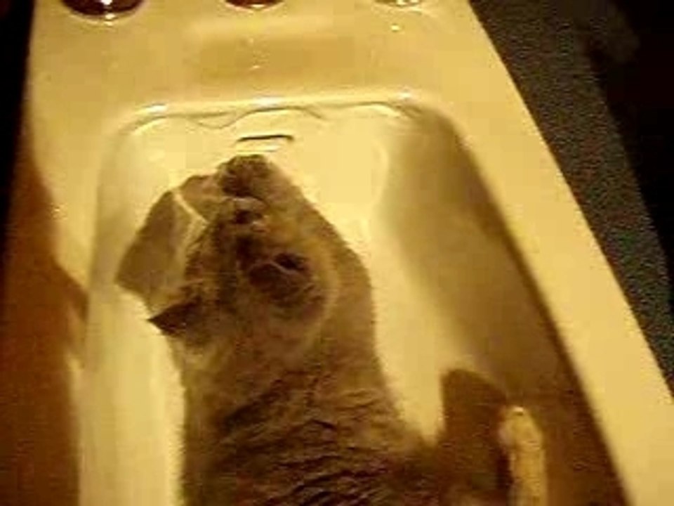 Cascade dans le bidet
