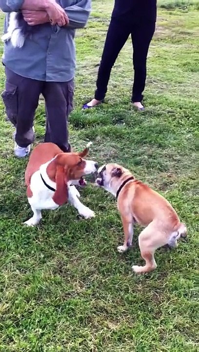 Rocky vs Egon part 2