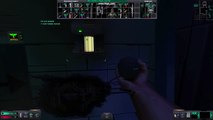 System Shock 2 Glitch- SHODAN is tired of her new voice
