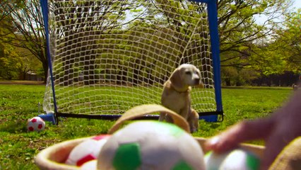 Guinness announces bizarre new world records