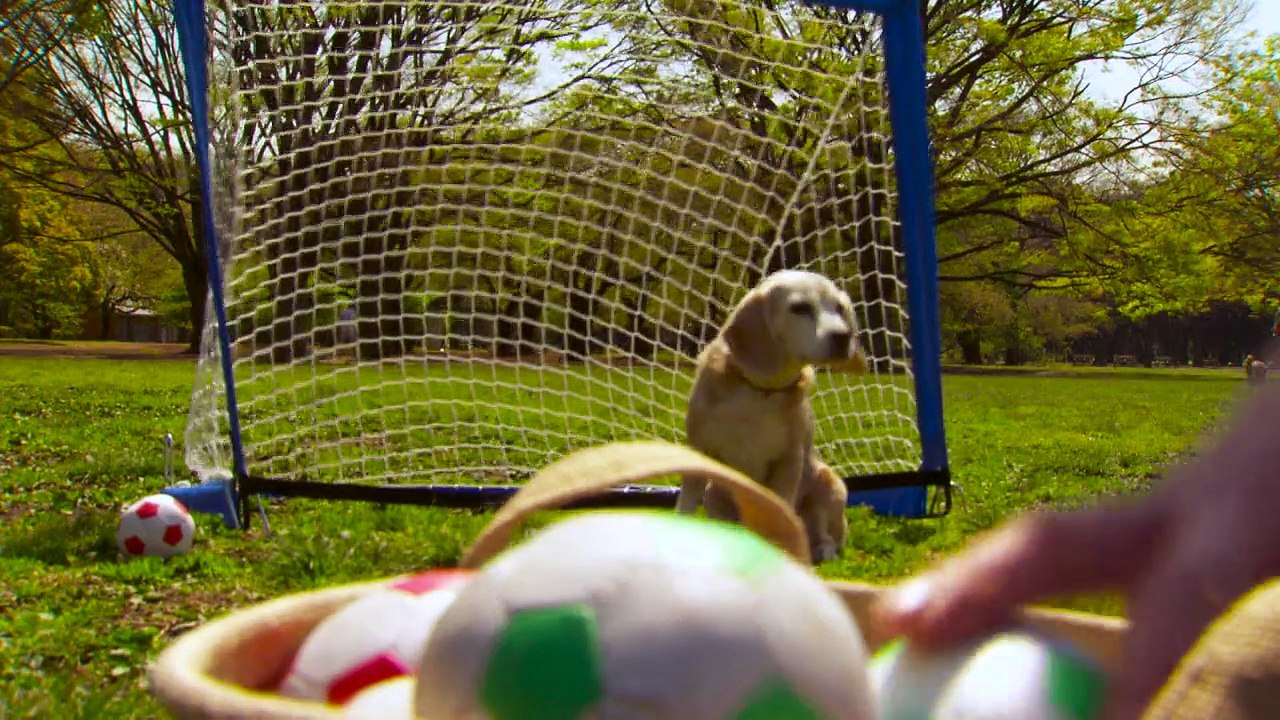 Guinness announces bizarre new world records