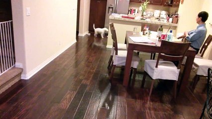 Bennie and his milk carton