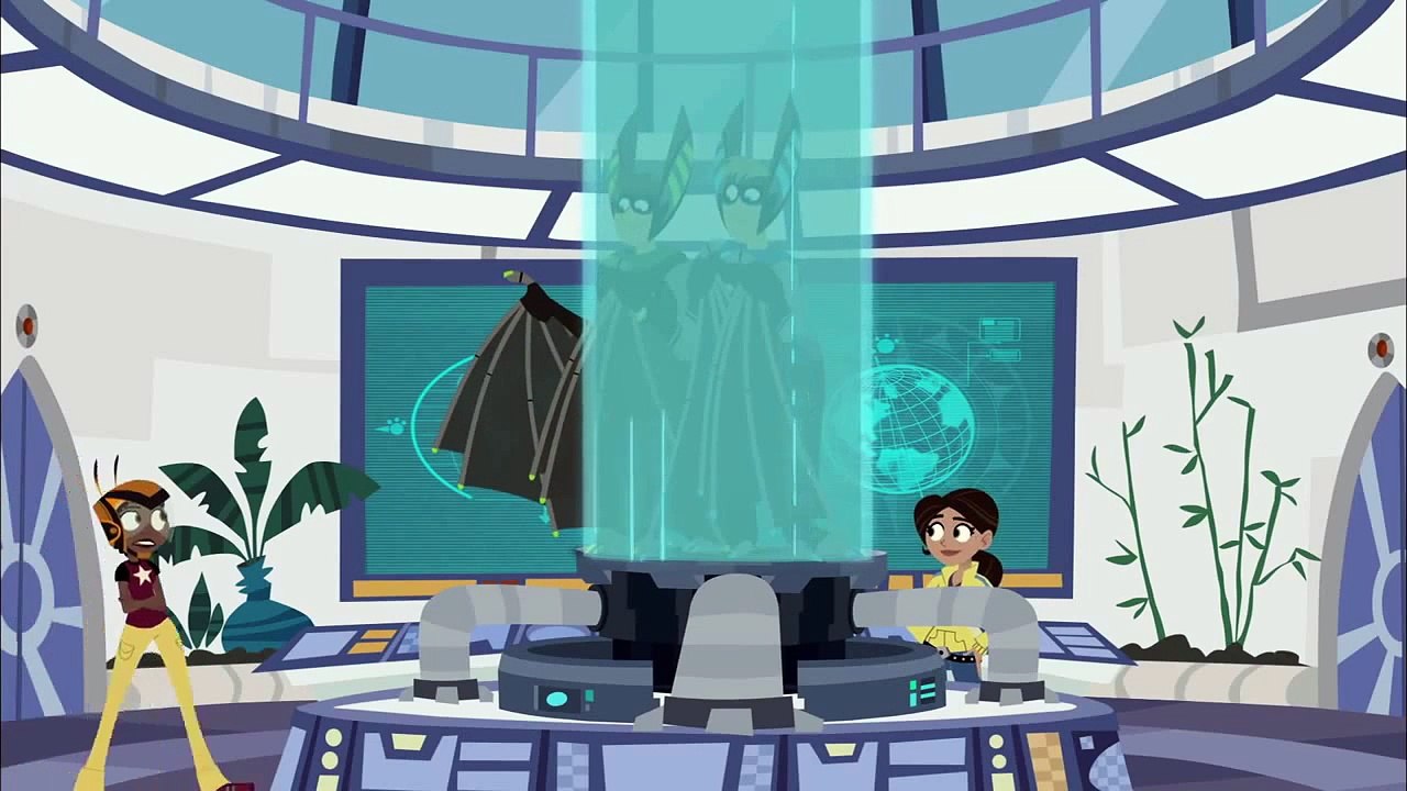 WILD KRATTS   Bite Sized Bat   PBS KIDS