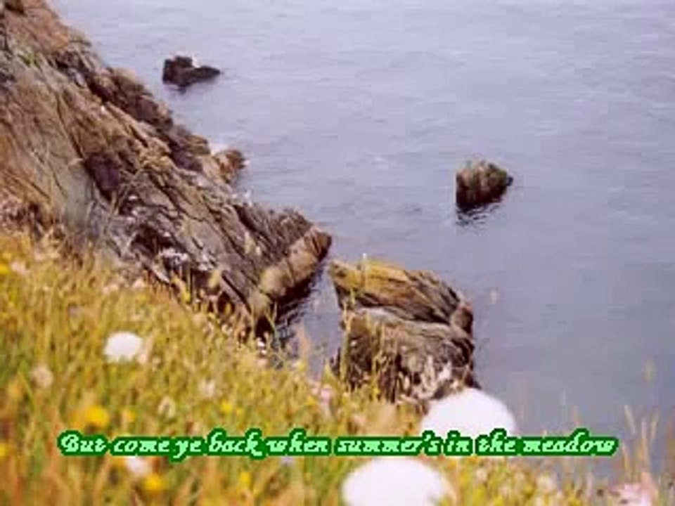 Danny Boy - Irish Traditional Tune