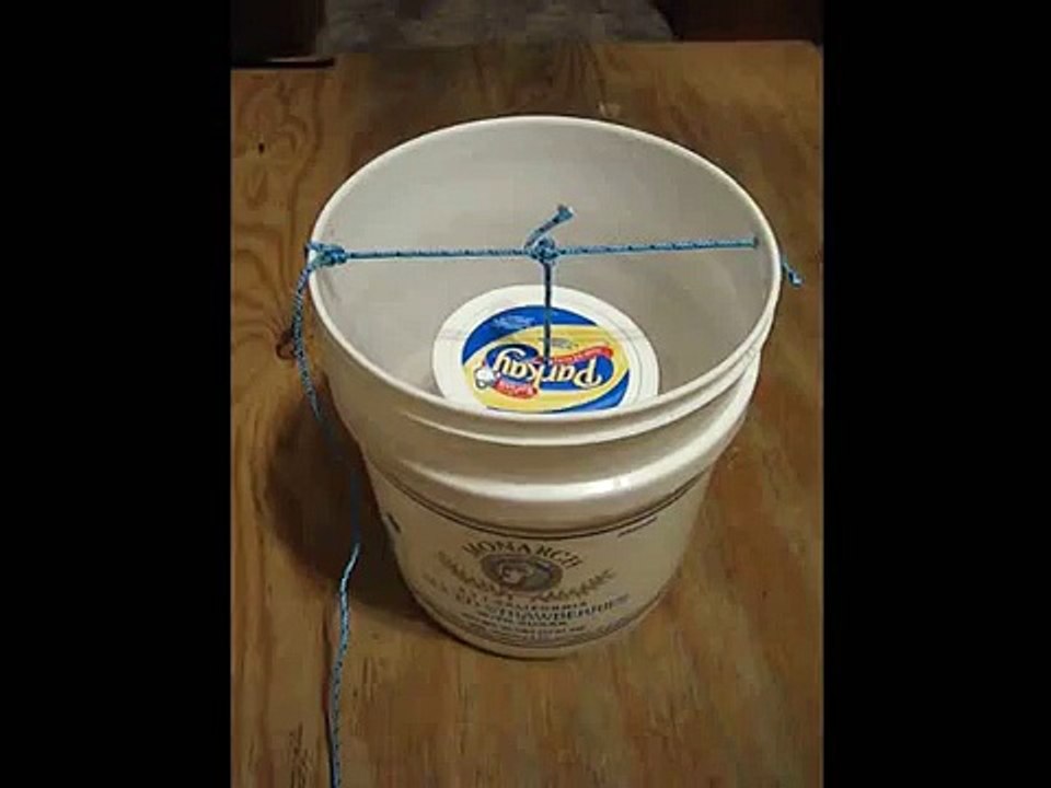 Tippy lid bucket mouse trap