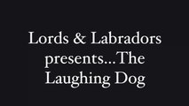 Lords & Labradors presents Laughing Dog Food - black and white film, funny dog eating