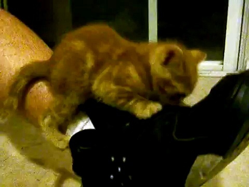 Santino vs. Josh's shoe