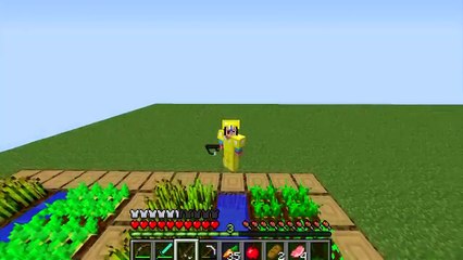 MINECRAFT | NOOB vs PRO