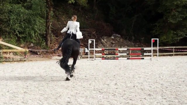marion panier et phéa jument frison démo dressage spectacle