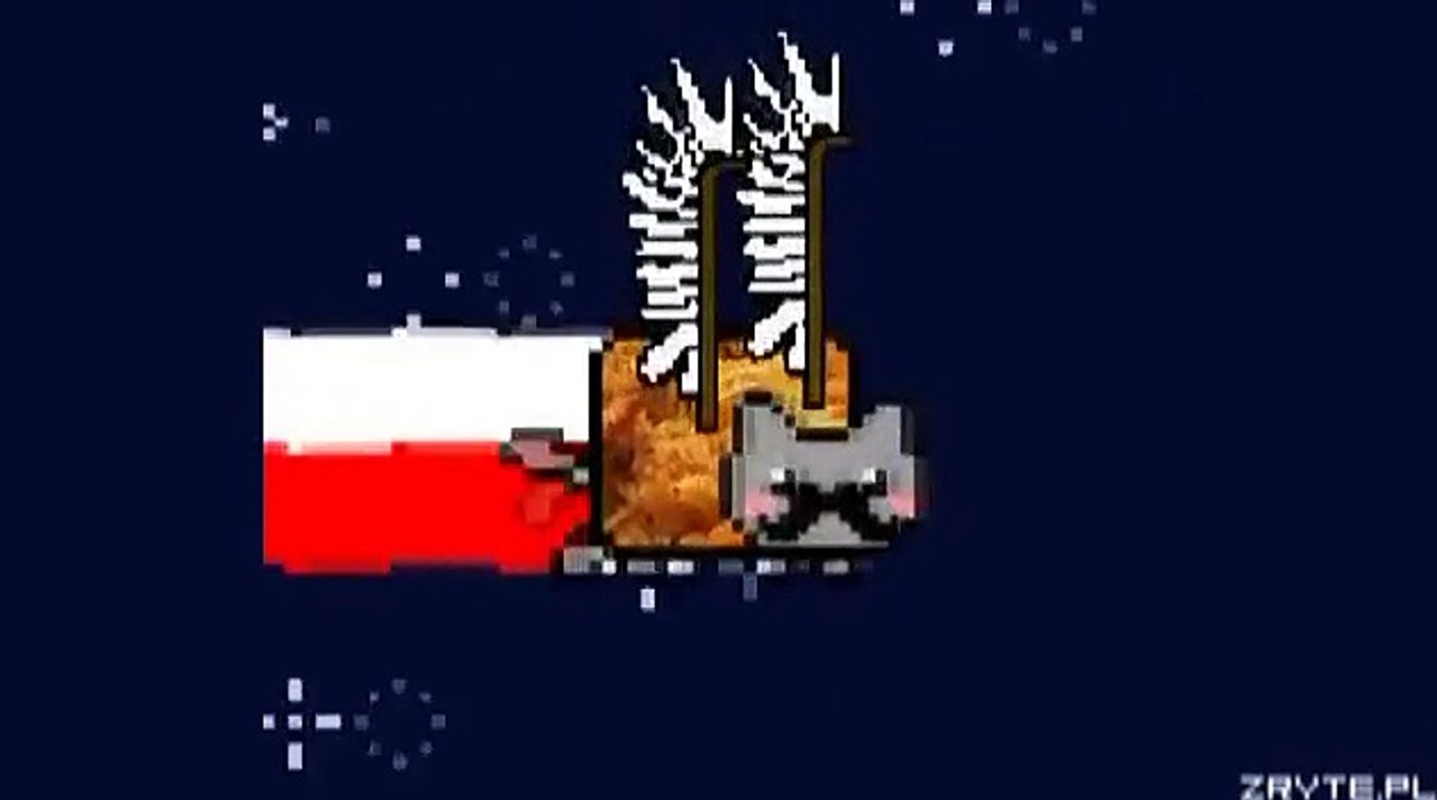 Polish Nyan Cat with polish music :D