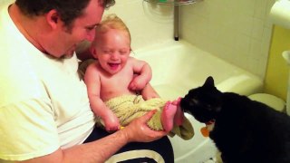 Funny - Cute baby plays with a cat..