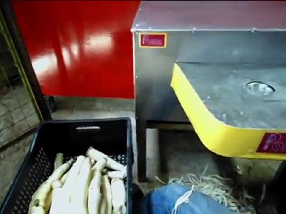 Máquina de Descascar Mandioca, Aipim ou Macaxeira