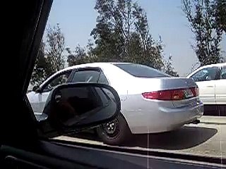 JDM Meet: Car Enthusiasts Gathering 🚗