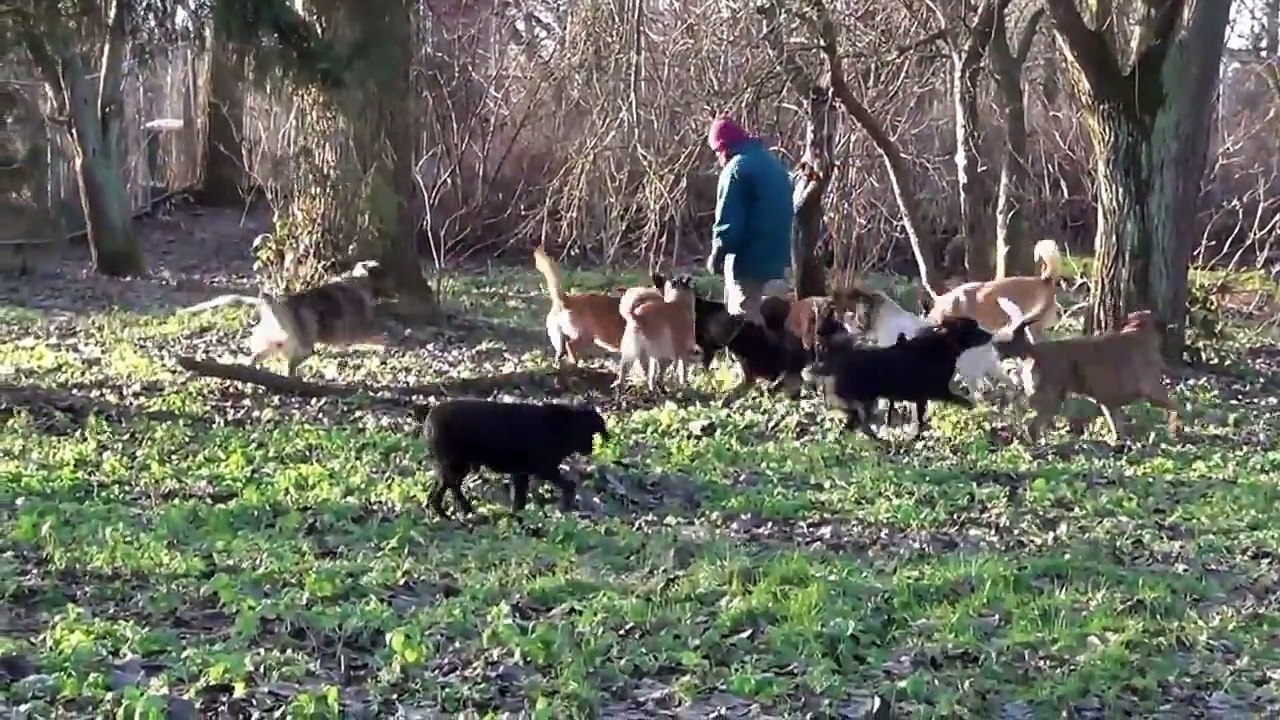 Schüssel ist out,  Stock ist wieder in