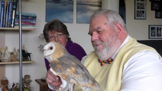 My Amazing Barn Owl Experience