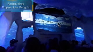 Antarctica Empire of the Penguin—Sea World Vacation 2013