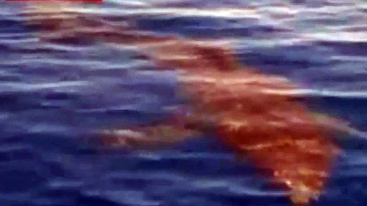 Shark Week 2014 starts with a Great White Shark attack on a small boat of fishermen