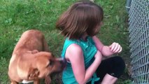 Devoted dog welcomes little girl home from school