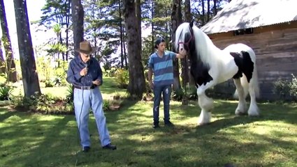 Razas del Mundo Mundo Hípico TV parte 1