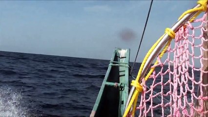 surfing secret spot sri lanka