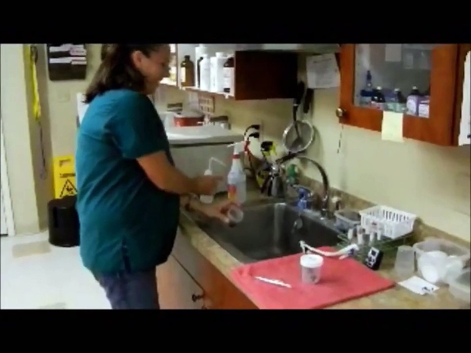 Fecal Exam Part I HD