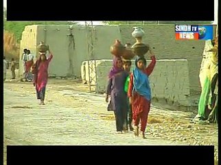 Sindhtv News Documentary Gajj dem by tasveer part 02