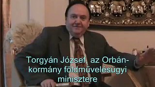 Grippen vagy F-16-os? - Torgyán József (Hírháttér TV)