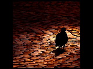 Universe - W taką ciszę