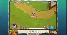 Animal Jam: What Should Be My Main Animal? |Poison AJ|