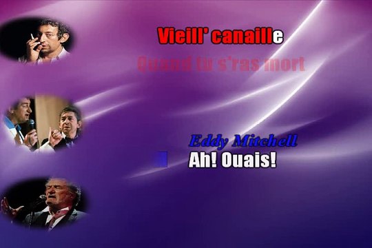 Karaoké Eddy Mitchell et Serge Gainsbourg - Vieille Canaille