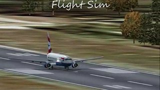 Flight simulator 2004