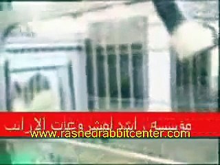 مؤسسة راشد لمشروعات الارانب ـ تأسيس مزارع الأرانب