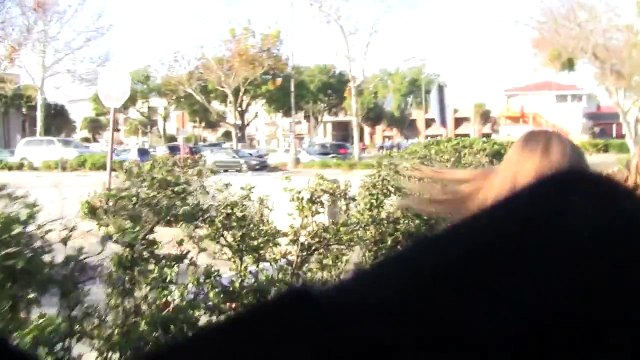 ♥ REAL #ACTIVISM! ♥ #LuvCause ☯ Obama 2012 Campaign ☯ Dr. Martin Luther King Parade Clip 3/15 ♥