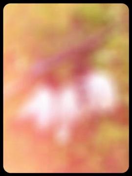 Vos photos - Le diaporama (été 2015)