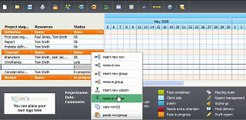 Tom's Planner | Gantt Chart Software | Faster than Excel easier than MS Project