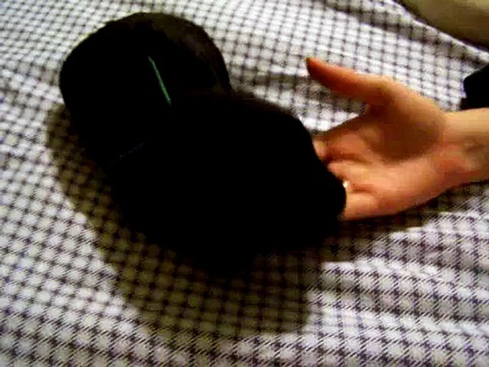 Labrador Retriever 9th born@ 742 am, 11/19/2006