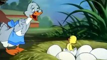 Tom and Jerry - Just Ducky - Downhearted Duckling